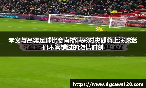 DB视讯