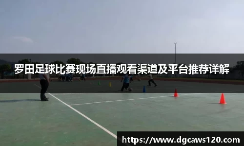 DB多宝视讯